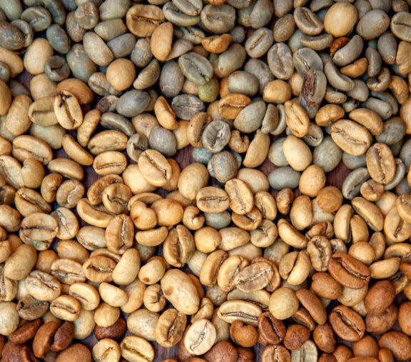 Oxygen Bean – دانه‌ی‌اُکسیژن